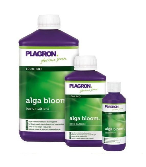 Plagron Alga Bloom set