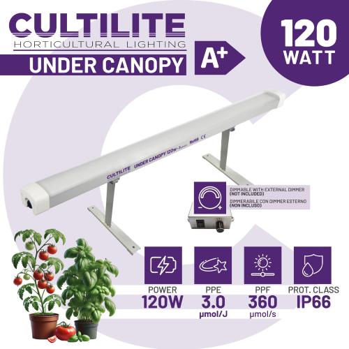 UCL-Under canopy light